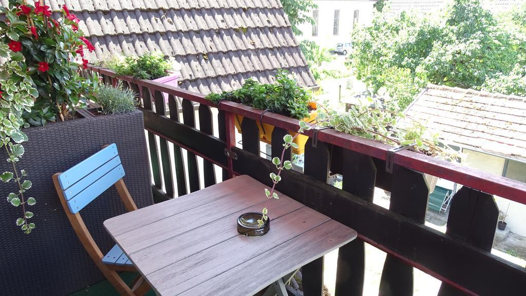 Pension Zur Sonne Wittenweier Schwanau Εξωτερικό φωτογραφία